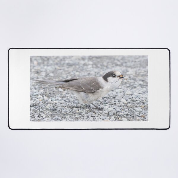 Item preview, Canada Jay designed and sold by LaurenTucker.