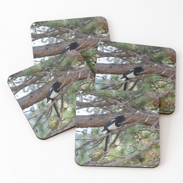 Item preview, Magpie in a Tree designed and sold by CorvisPhotos&Art.