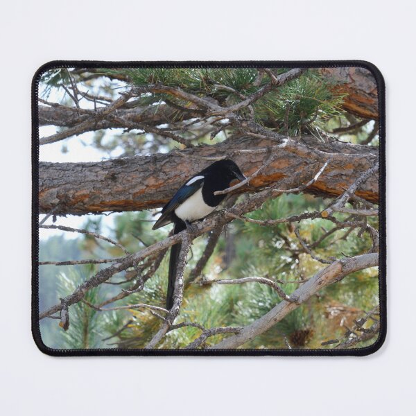 Item preview, Magpie in a Tree designed and sold by CorvisPhotos&Art.
