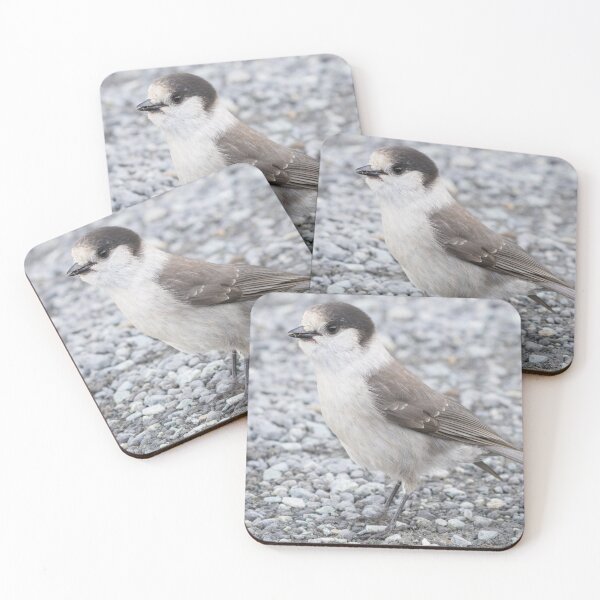 Item preview, Canada Jay designed and sold by LaurenTucker.