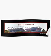 Williams Brice Stadium Poster