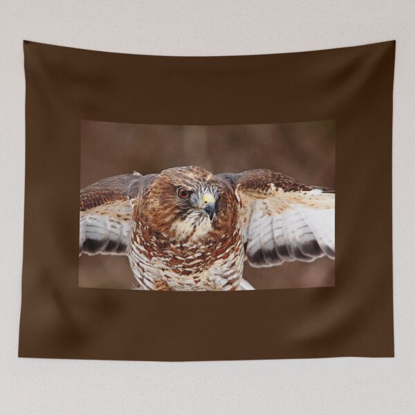 Item preview, Broad - Winged Hawk designed and sold by Debbie Oppermann.