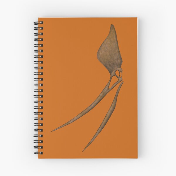 Item preview, Pteranodon sternbergi Skull Fossil designed and sold by JAMiron Paleoart.