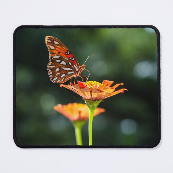 Item preview, Orange Butterfly on Zinnia Flower designed and sold by PhotoArtbyGrace.