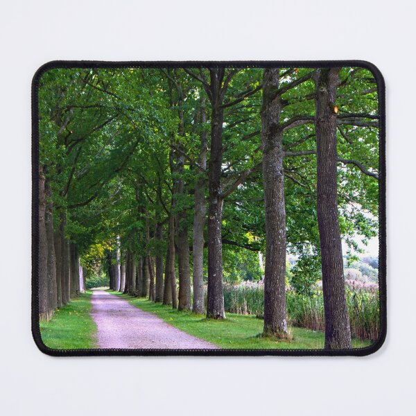 Item preview, Walking on the dear old lanes again designed and sold by jchanders.