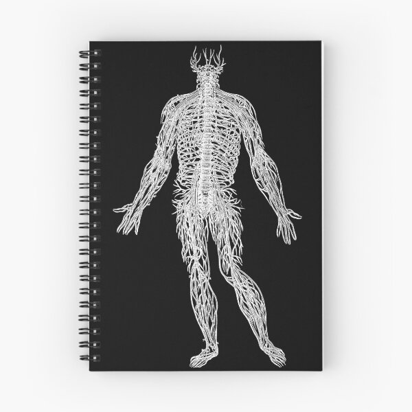 Item preview, Arrangement of the Spinal Nerves, Vesalius, 1543 (WHITE) designed and sold by Exhumed Archives.