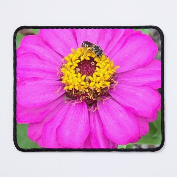 Item preview, Bee on Zinnia designed and sold by Ben Waggoner.