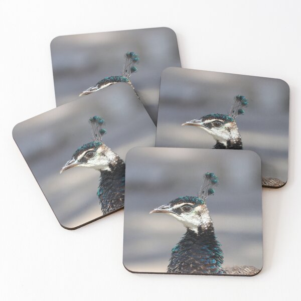 Item preview, Peafowl portrait designed and sold by GreyFeatherPhot.