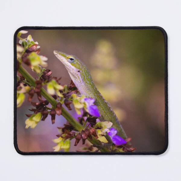 Item preview, Green Lizard on Coleus Flowers designed and sold by PhotoArtbyGrace.