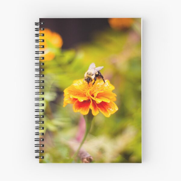 Item preview, Honey Bee Landing on orange marigold flower designed and sold by PhotoArtbyGrace.