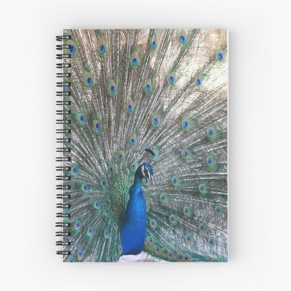 Item preview, Displaying peacock designed and sold by GreyFeatherPhot.