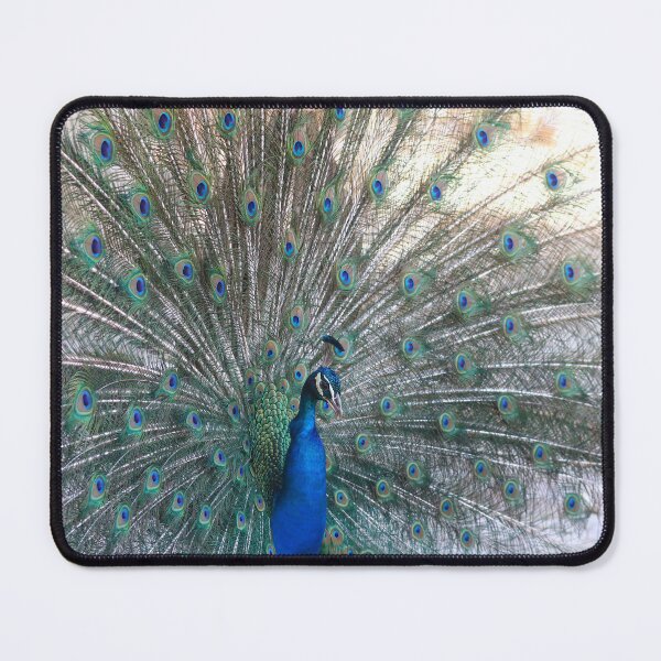 Item preview, Displaying peacock designed and sold by GreyFeatherPhot.