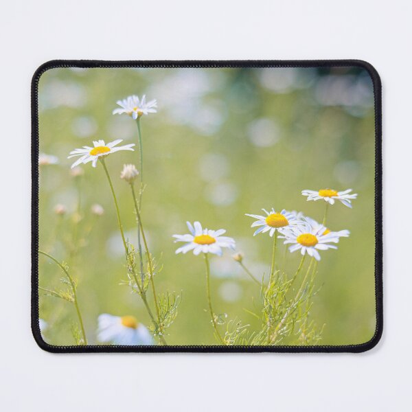 Item preview, White Daisy Chamomile Wildflower Cottagecore Botanical Photo designed and sold by Dzulo.