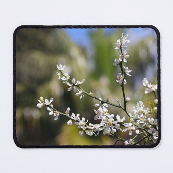 Item preview, Blossoming designed and sold by GreyFeatherPhot.