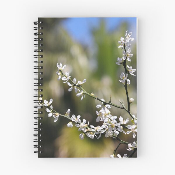 Item preview, Blossoming designed and sold by GreyFeatherPhot.