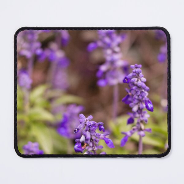 Item preview, Vibrant Purple Garden Flowers designed and sold by PhotoArtbyGrace.