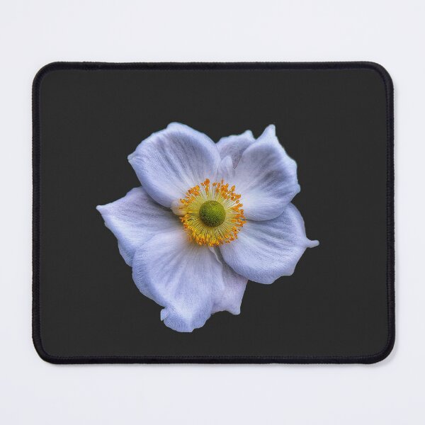 Item preview, Japanese Anemone Blossom designed and sold by Duncan-Mac.