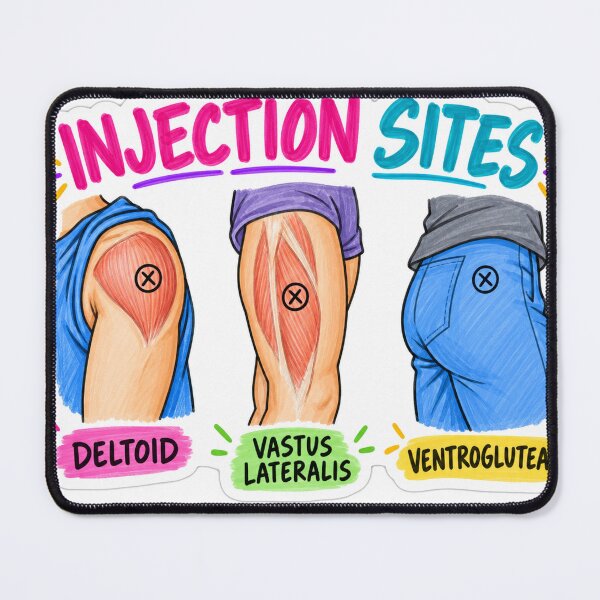 Item preview, Injection Sites Intramuscular Nursing Student Sticker designed and sold by isokinetic.