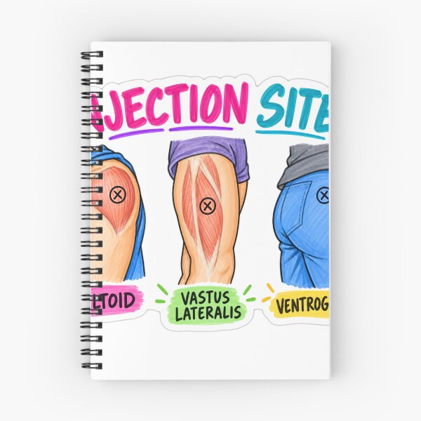 Aperçu de l'œuvre Sites d'injection intramusculaire - Autocollant pour étudiante en soins infirmiers créée et vendue par isokinetic.