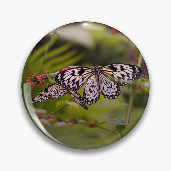 Item preview, Yellow Striped Butterflies in Flowering Tree designed and sold by PhotoArtbyGrace.