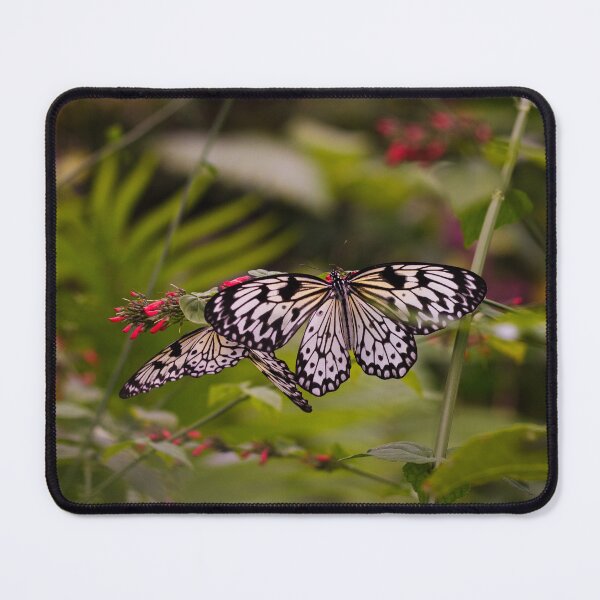 Item preview, Yellow Striped Butterflies in Flowering Tree designed and sold by PhotoArtbyGrace.