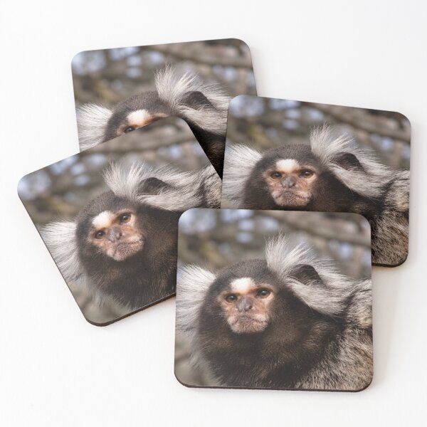 Item preview, Curious Common Marmoset Monkey designed and sold by Astute-Artio-Photography.