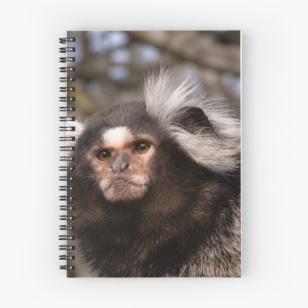 Item preview, Curious Common Marmoset Monkey designed and sold by Astute-Artio-Photography.