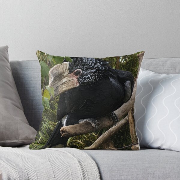 Item preview, Silvery-Cheeked Hornbill: Exotic Wildlife Beauty designed and sold by Astute-Artio-Photography.