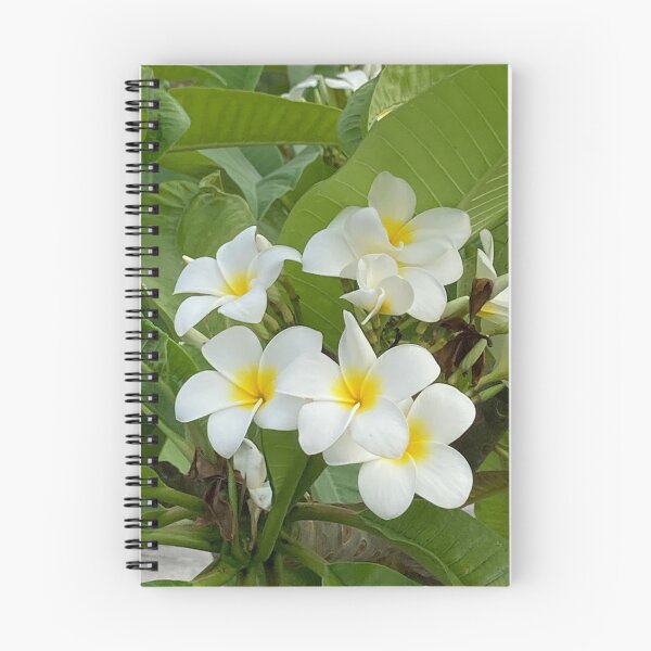 Item preview, Yellow and White Frangipani designed and sold by Ben Waggoner.