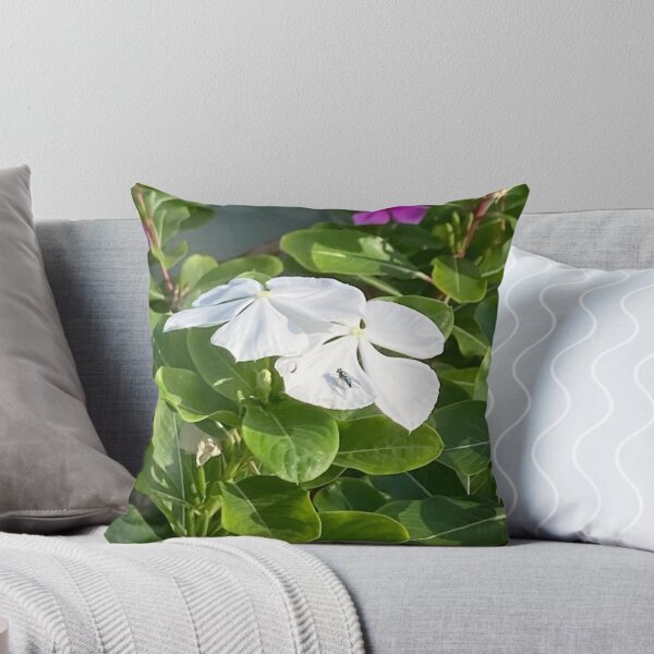 Item preview, Green metallic fly on Madagascar periwinkle designed and sold by Ben Waggoner.