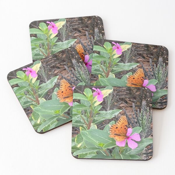 Item preview, Butterfly on Madagascar periwinkle 2 designed and sold by Ben Waggoner.