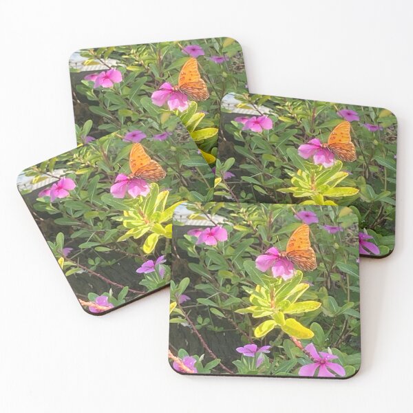 Item preview, Butterfly on Madagascar periwinkle 1 designed and sold by Ben Waggoner.