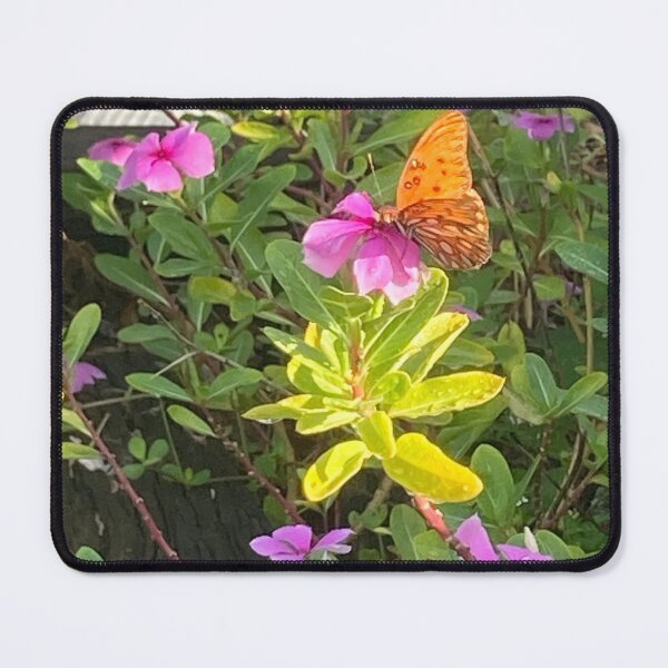 Item preview, Butterfly on Madagascar periwinkle 1 designed and sold by Ben Waggoner.