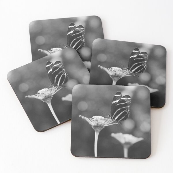 Artikelvorschau, Schwarz-weißer Schmetterling auf Zinnie entworfen und verkauft von PhotoArtbyGrace.