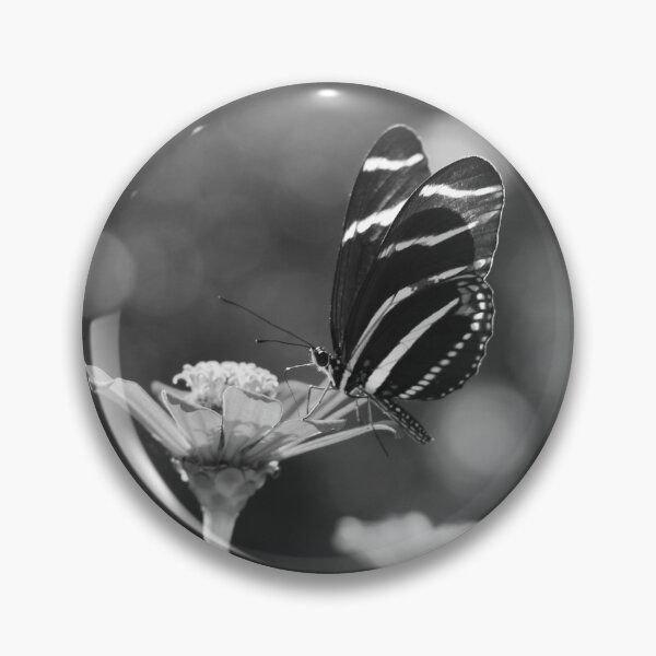 Item preview, Black and White Butterfly on Zinnia designed and sold by PhotoArtbyGrace.