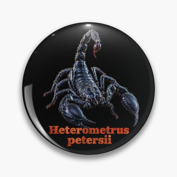 Aperçu de l'œuvre Heterometrus petersii — Scorpion des forêts chinois SP-003 créée et vendue par Exotic-Atlas.