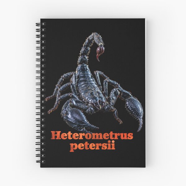Item preview, Heterometrus petersii — Chinese Forest Scorpion SP-003 designed and sold by Exotic-Atlas.