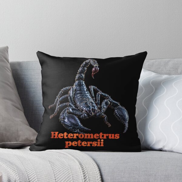 Item preview, Heterometrus petersii — Chinese Forest Scorpion SP-003 designed and sold by Exotic-Atlas.