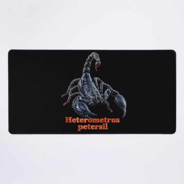 Item preview, Heterometrus petersii — Chinese Forest Scorpion SP-003 designed and sold by Exotic-Atlas.