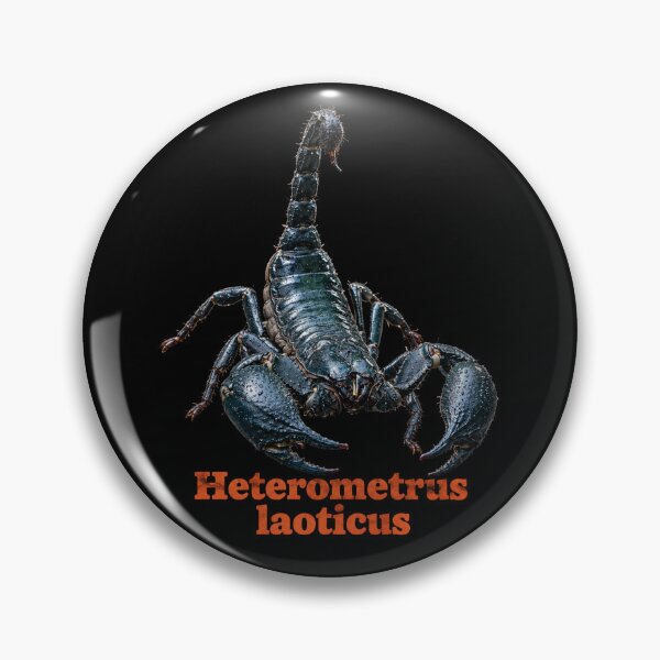 Aperçu de l'œuvre Heterometrus laoticus — Scorpion des forêts du Laos SP-004 créée et vendue par Exotic-Atlas.