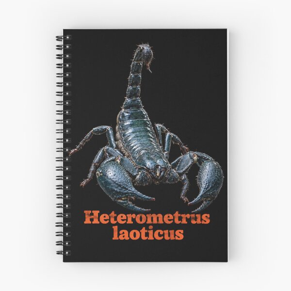 Item preview, Heterometrus laoticus — Laos Forest Scorpion SP-004 designed and sold by Exotic-Atlas.