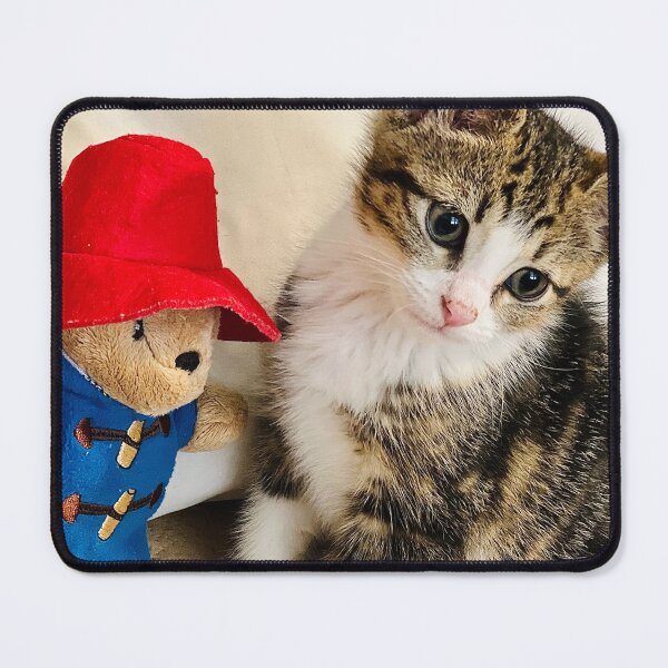 Item preview, Cute Fluffy Tabby Kitten with classic british teddy bear designed and sold by MeliMedO Art.
