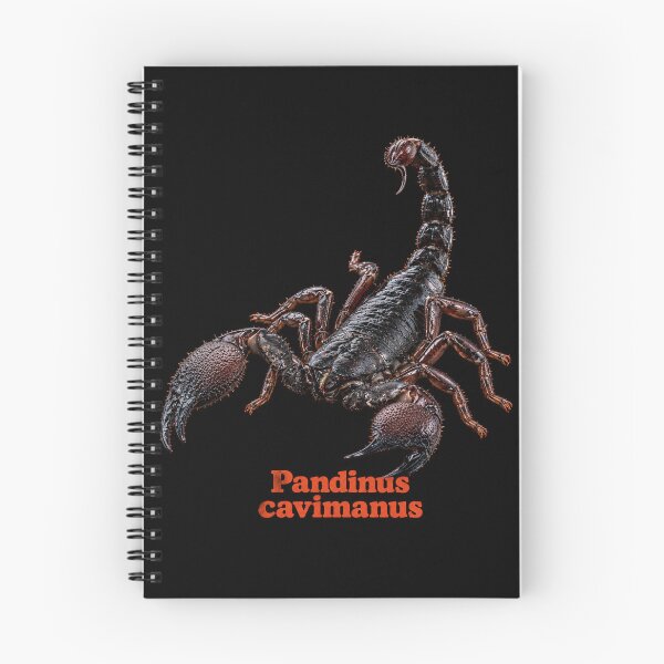 Item preview, Pandinus cavimanus — Tanzanian Red-Clawed Scorpion SP-005 designed and sold by Exotic-Atlas.