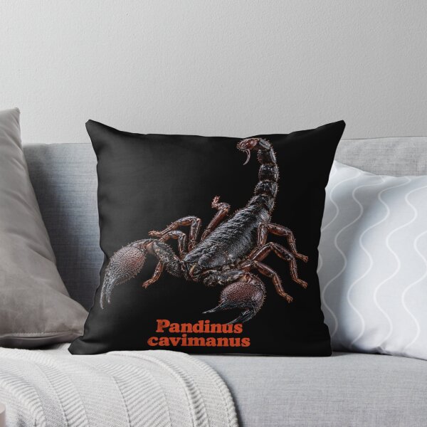 Item preview, Pandinus cavimanus — Tanzanian Red-Clawed Scorpion SP-005 designed and sold by Exotic-Atlas.