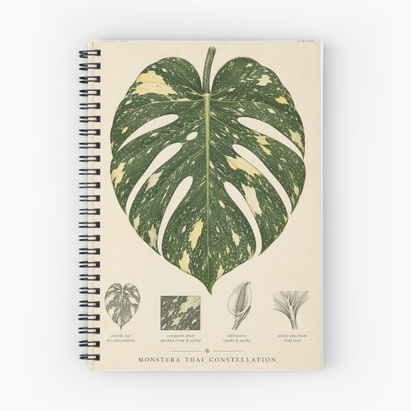 Item preview, Monstera Thai Constellation Botanical Print designed and sold by FunkyMonkeys1.