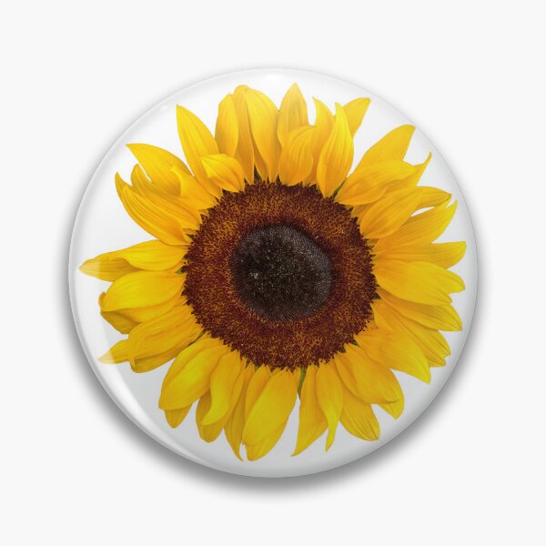 Item preview, Sunflower designed and sold by enrikepaz.
