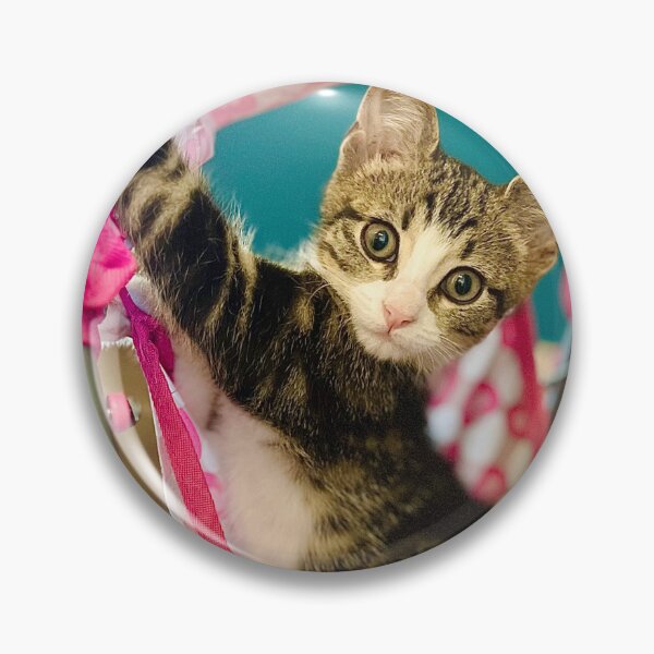 Item preview, Excuse Me, I Am Just A Baby Cat designed and sold by MeliMedO Art.