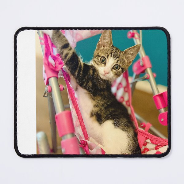 Item preview, Excuse Me, I Am Just A Baby Cat designed and sold by MeliMedO Art.