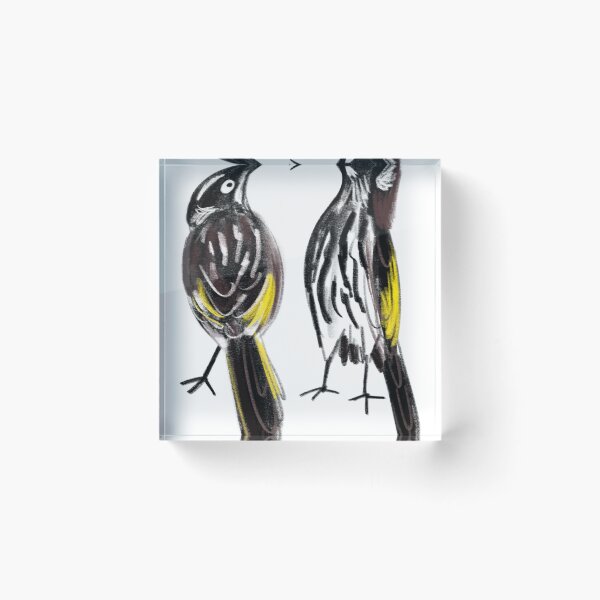 Item preview, New Holland Honeyeater Bird Sketch designed and sold by Drsadle39l.
