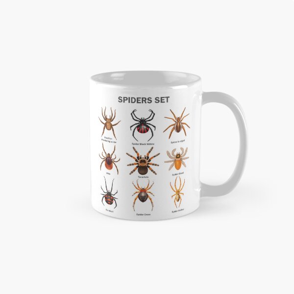 Item preview, Educational Spiders Identification Chart Insects Funny  designed and sold by VISIONSTURME.